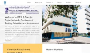 How To Download IBPS RRB Clerk Cut Off 2024?