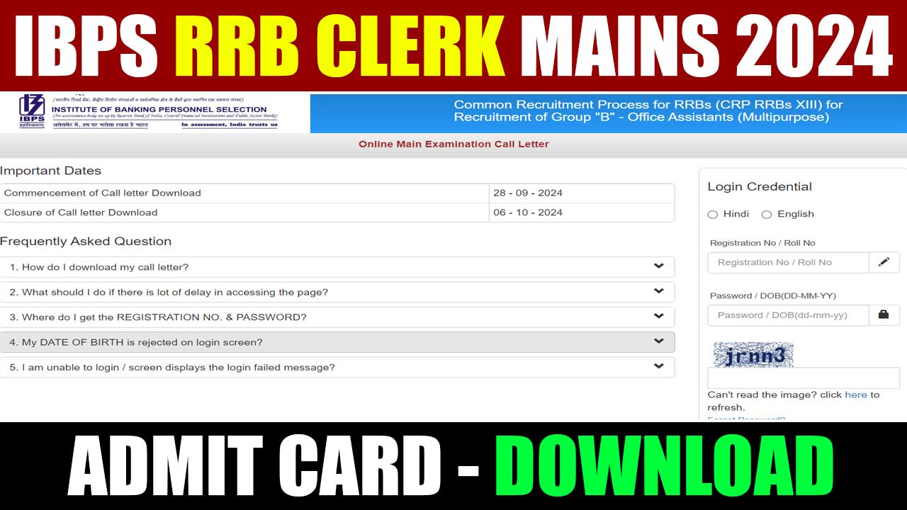 IBPS RRB Clerk Mains Admit Card 2024 Download