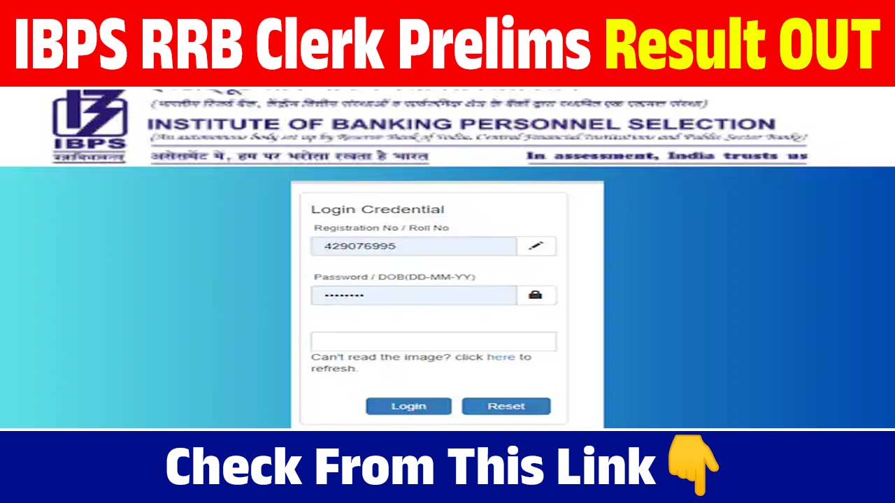 IBPS RRB Clerk Prelims Result OUT