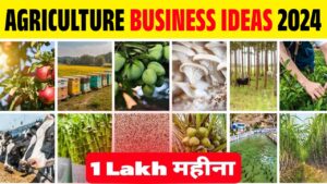 AGRICULTURE BUSINESS IDEAS 2024