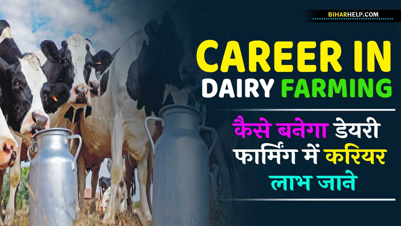 Career in Dairy Farming